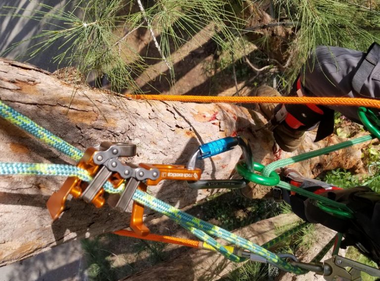 Juego De Espigas Para Escalar árboles – Espuelas Ajustables, Acero Reforzado, Para Poda, Caza O Supervivencia